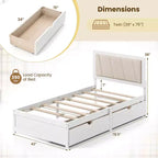 Twin Size Platform Bed Frame with 2 Storage Drawers and Upholstered Headboard